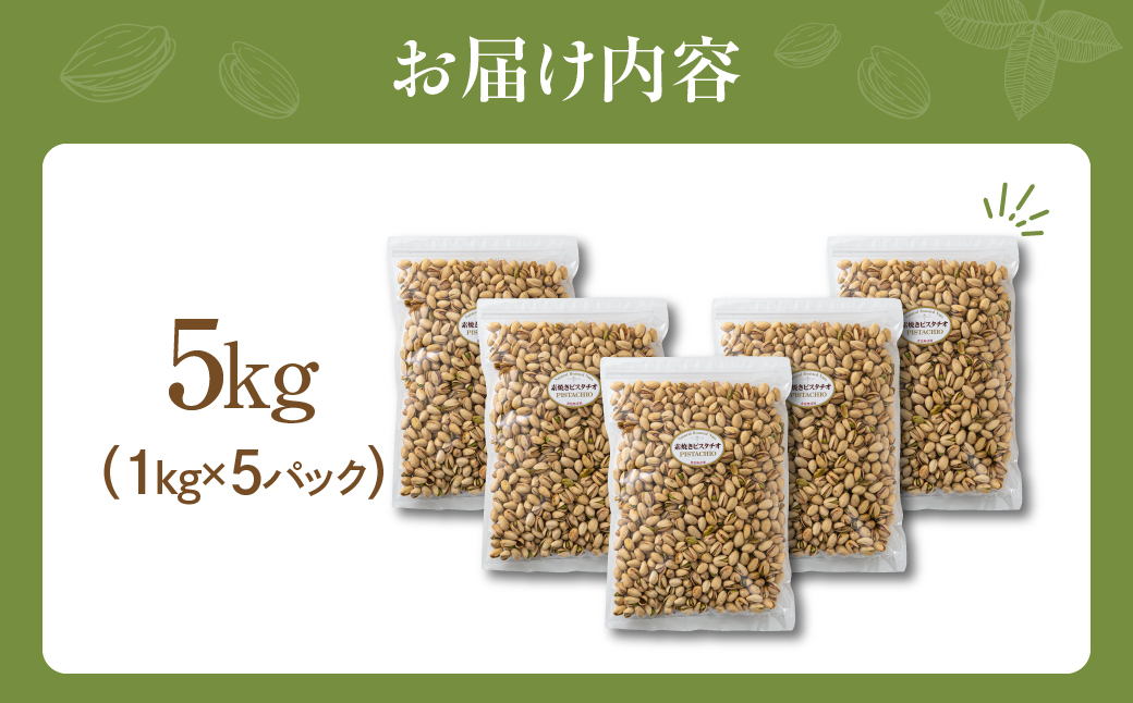 【12回定期便】素焼き ピスタチオ 計5kg (1kg × 5袋） 5kg×12回