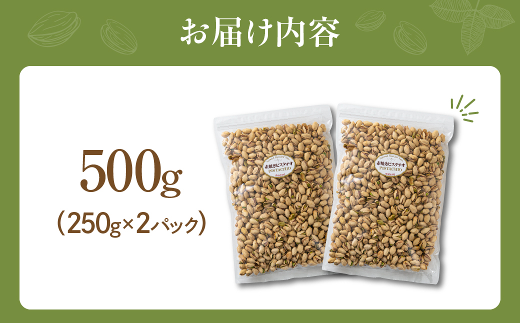 【6回定期便】素焼き ピスタチオ 500g （250g × 2袋） 500g×6回