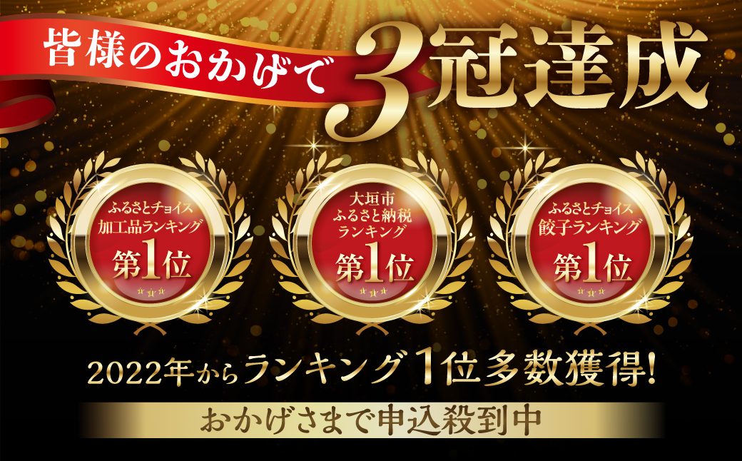 【3ヶ月定期便】生餃子専門店「新家」の生餃子　元気がモリモリ100個セット 100個×3回