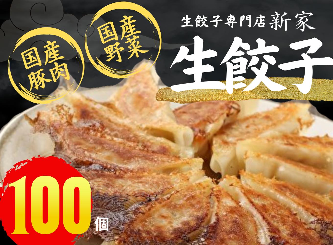 【3ヶ月定期便】生餃子専門店「新家」の生餃子100個・創作餃子5種類75個・大きなしゅうまい25個