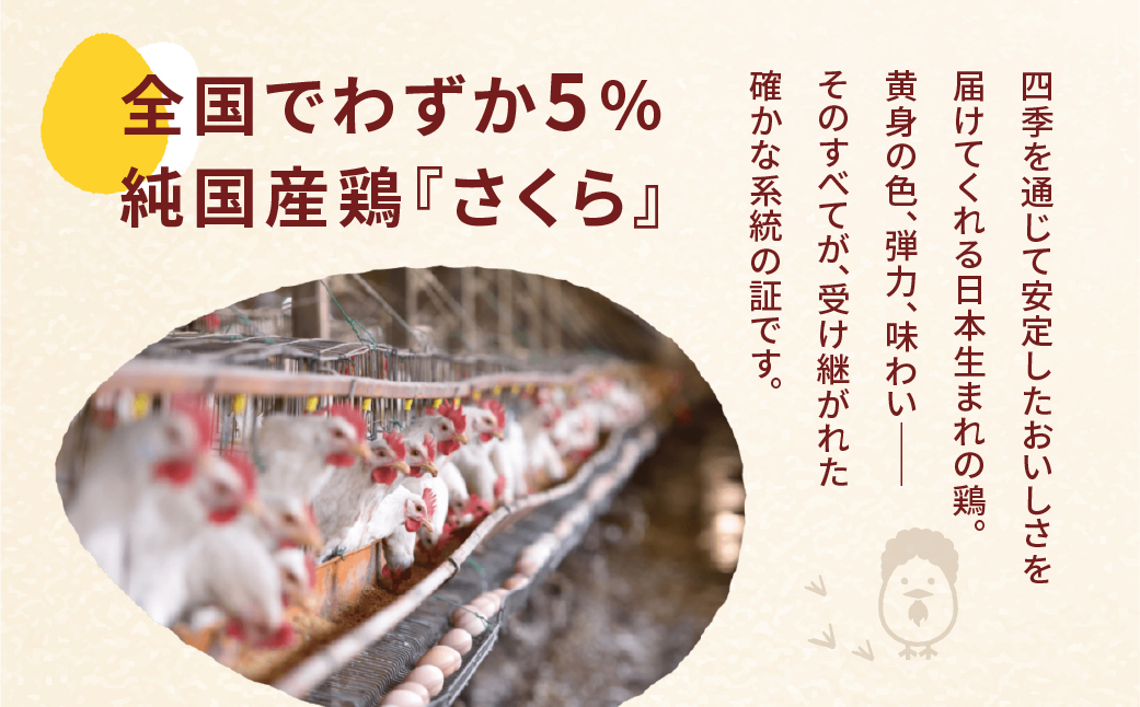 【定期便12ヶ月】40個 新鮮 特選 さくらたまご 定期便 12回 パック数 回数 12ヶ月 1年 新鮮な卵 (発送当日・または前日に採れた卵) 安心 安全 対応 破損 割れ保障 保証付 安心対応 サポート 里山 たまご タマゴ 卵 玉子 にわとり ニワトリ 鶏 産直 産地直送 国産 高評価 高レビュー 松島飼料店 岐阜県 大垣市 40個×12回