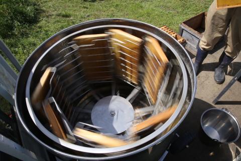 国産はちみつ　450ｇ[パッカー容器]