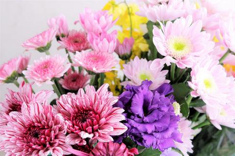 ふるさとのお墓のお掃除、献花サービス