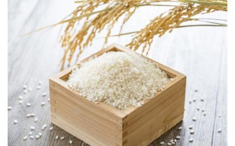 水の都 大垣米 ～わごうめぐみ米～ 5kg【特別栽培米レンゲハツシモ】 5kg