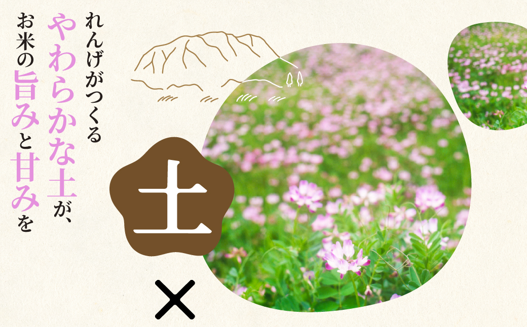 玄米 令和7年産 新米 10kg 玄米 単一原料米 れんげ ハツシモ 岐阜美濃の誇り れんげ育ちのハツシモ 米 新米 ごはん 白米 精米 お米 大黒屋 岐阜県 大垣市 10kg