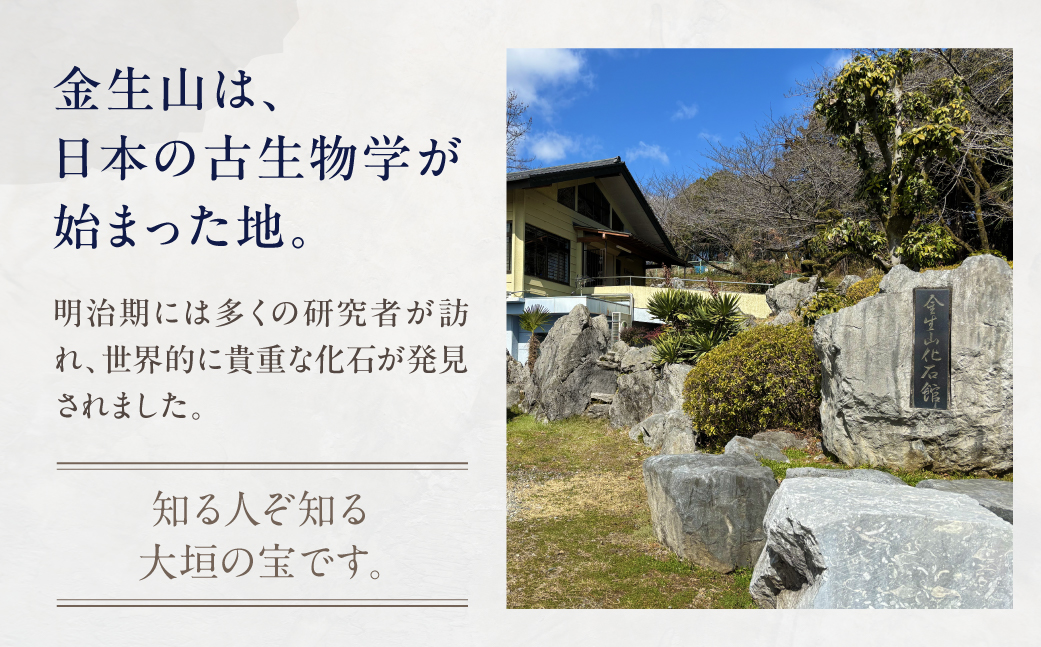 日本の古生物学発祥の地 金生山化石 トートバッグ A4 対応 60g 軽量 金生山 化石 グッズ 化石 デザイン 古生物 雑貨 カバン 鞄 限定デザイン エコバッグ グッズ 雑貨 学び 歴史 オリジナルデザイン のきさき書店 共同企画Ｍ＆Ｍ 岐阜県 大垣市