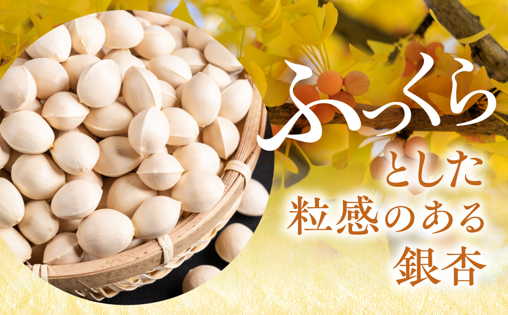 銀杏 700g ぎんなん イチョウ いちょう 殻付き銀杏 殻付き 国産 おつまみ 秋の味覚 栽培期間中農薬不使用 保管 常温 保存 もっちり 電子レンジ レンジ レンチン 簡単調理 茶碗蒸し ポスト投函 ネコポス 季節限定 産地直送 産直 7000円 7千円 岐阜県 大垣市