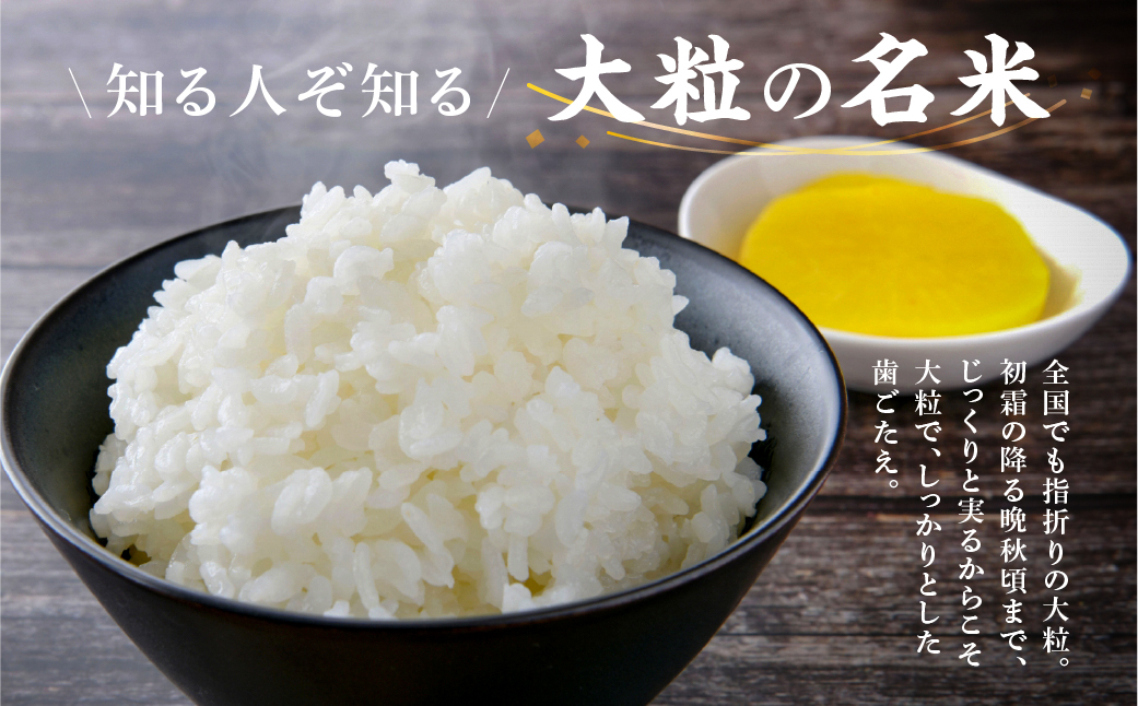 新米≪令和7年度産≫ お米 ハツシモ 5kg 3回 定期便 計15kg 〜水の都大垣の豊富な湧き水で育ったお米 〜 新米 ごはん 白米 精米 人気 美味しい 美濃 西濃 初霜 コシヒカリ の先輩 東の ササニシキ 西の ハツシモ DIB 岐阜県 大垣市 5キロ×3回