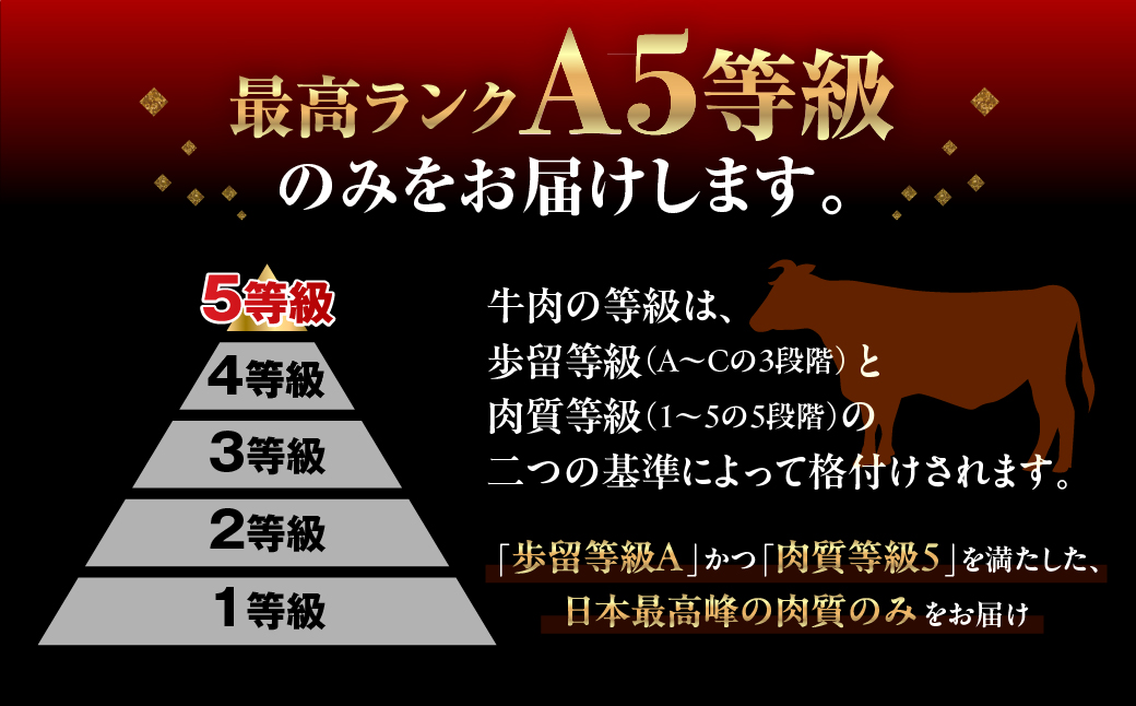 【6回定期便】飛騨牛 A5 1400g ちょっと良い 切り落とし 牛肉 和牛 1400g × 6回