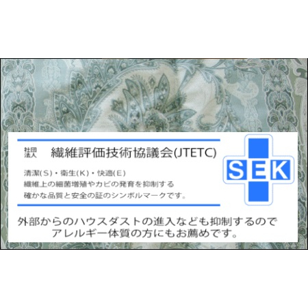 ≪選べるカラー≫【高級ホテル仕様】羽毛を超えた掛布団(SEK加工生地) グリーン グリーン