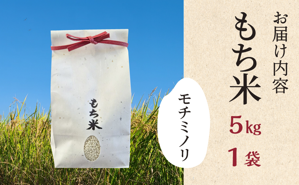 ≪令和7年度産≫もち米 モチミノリ 5kg 新米 餅 お餅 餅つき おこわ 赤飯 お餅 産直 産地直送 農家直送 国産 モチモチ もちもち 備蓄 備蓄米 保存 防災 災害 米 コメ 雑煮 大福 あられ イベント お正月 常温 美濃 西濃 農事組合法人わごう 岐阜県 大垣市
