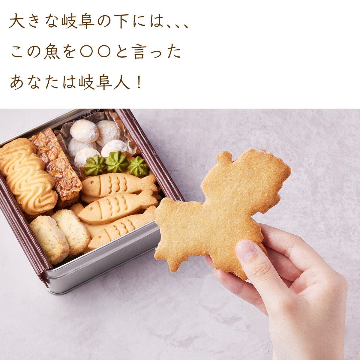 GoTorch岐阜クッキー缶４缶セット