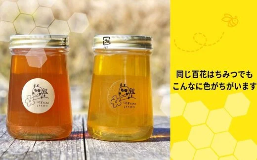 岐阜県上石津産・河本さんちのはちみつ(百花はちみつ)500g