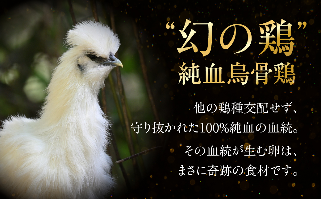 【6ヶ月定期便】＼最高級たまご／烏骨鶏卵 モールド 30個セット 30個×6回