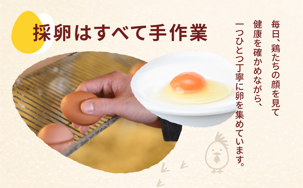 【定期便12ヶ月】40個 新鮮 特選 さくらたまご 定期便 12回 パック数 回数 12ヶ月 1年 新鮮な卵 (発送当日・または前日に採れた卵) 安心 安全 対応 破損 割れ保障 保証付 安心対応 サポート 里山 たまご タマゴ 卵 玉子 にわとり ニワトリ 鶏 産直 産地直送 国産 高評価 高レビュー 松島飼料店 岐阜県 大垣市 40個×12回