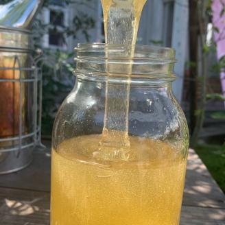 国産はちみつ　450ｇ[パッカー容器]