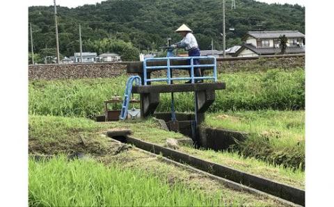 ＼新米お届け／令和7年産 新米 ハツシモ 10kg はつしも 食味ランキング 「特A」 受賞歴 東の ササニシキ 西の ハツシモ 初霜 コシヒカリ の先輩 大粒 ごはん ご飯 米 白米 お弁当 精米 お米 産地直送 産直 25000円 2万5千円 ふるさと物語 岐阜県 大垣市