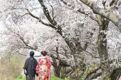 むすびの和婚　色打掛　大垣名所撮影プラン