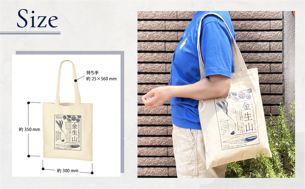 日本の古生物学発祥の地 金生山化石 トートバッグ A4 対応 60g 軽量 金生山 化石 グッズ 化石 デザイン 古生物 雑貨 カバン 鞄 限定デザイン エコバッグ グッズ 雑貨 学び 歴史 オリジナルデザイン のきさき書店 共同企画Ｍ＆Ｍ 岐阜県 大垣市