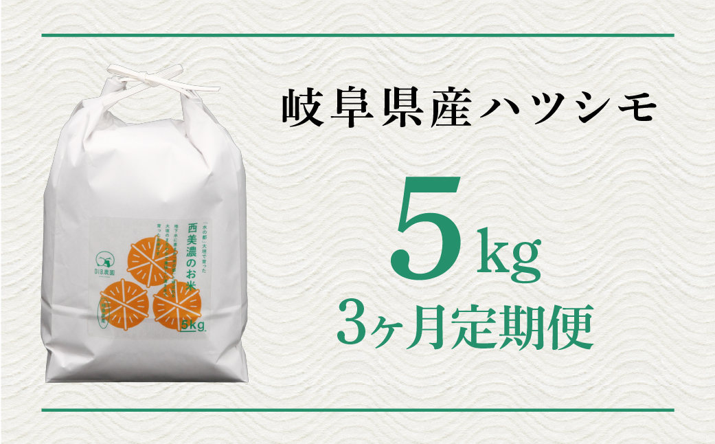 新米≪令和7年度産≫ お米 ハツシモ 5kg 3回 定期便 計15kg 〜水の都大垣の豊富な湧き水で育ったお米 〜 新米 ごはん 白米 精米 人気 美味しい 美濃 西濃 初霜 コシヒカリ の先輩 東の ササニシキ 西の ハツシモ DIB 岐阜県 大垣市 5キロ×3回