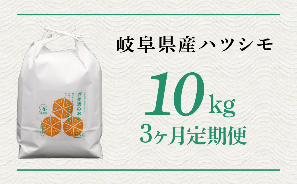 新米≪令和7年度産≫ お米 ハツシモ 10kg 3回 定期便 計30kg 〜水の都大垣の豊富な湧き水で育ったお米 〜 新米 ごはん 白米 精米 人気 美味しい 美濃 西濃 初霜 コシヒカリ の先輩 東の ササニシキ 西の ハツシモ DIB 岐阜県 大垣市 10キロ×3回