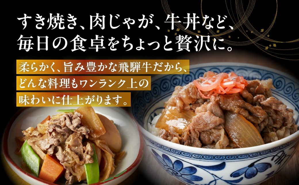 【6回定期便】飛騨牛 A5 700g ちょっと良い 切り落とし 牛肉 和牛 700g × 6回