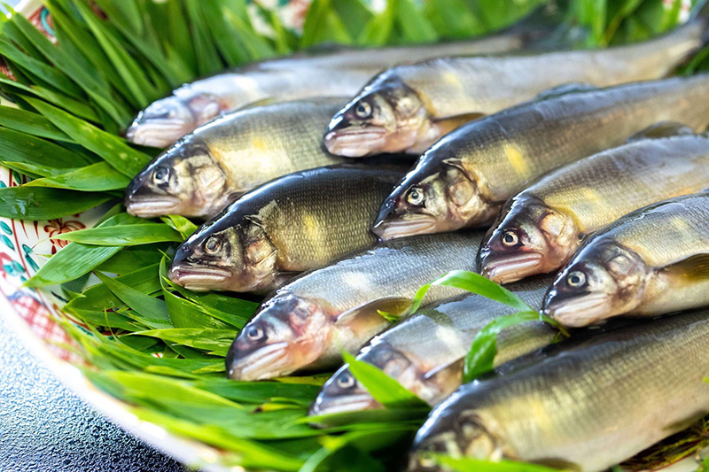 【粋料亭 助六】鮎山椒煮