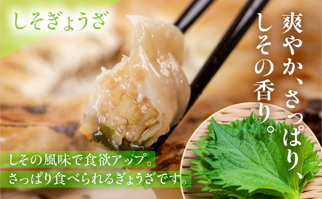 生餃子専門店「新家」の生餃子40個としそ餃子30個セット