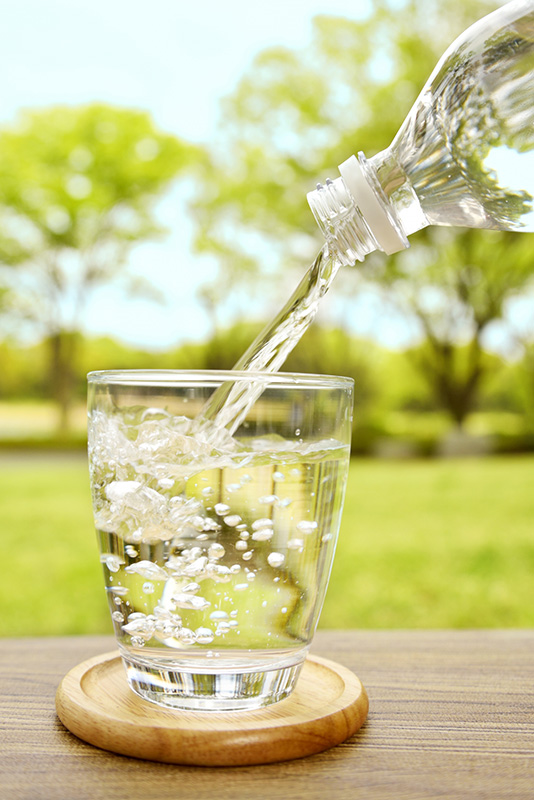 おいしい大垣の水（500ｍｌ×24本）　自噴水を使ったミネラルウォーター