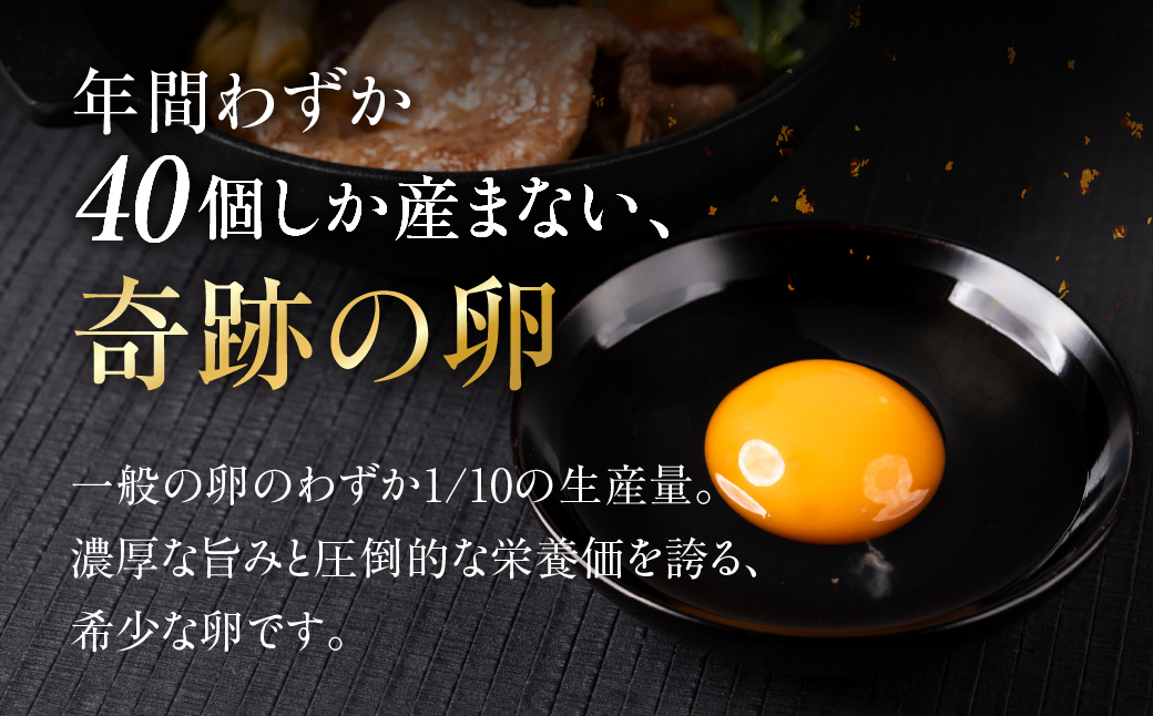 【6ヶ月定期便】＼最高級たまご／烏骨鶏卵 モールド 30個セット 30個×6回