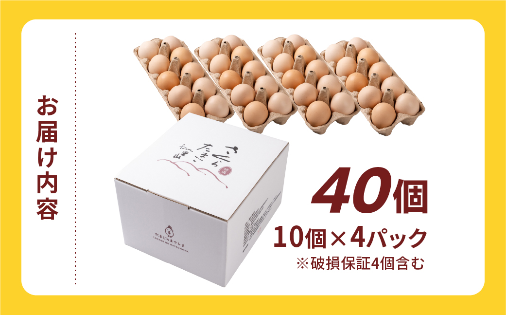 ＼高評価★／新鮮 さくらたまご 40個 新鮮な卵 (発送当日・または前日に採れた卵) 安心 安全 対応 破損 割れ保障 保証付 安心対応 サポート 里山 たまご タマゴ 卵 玉子 にわとり ニワトリ 鶏 産直 産地直送 国産 高評価 高レビュー 松島飼料店 岐阜県 大垣市 40個×1回