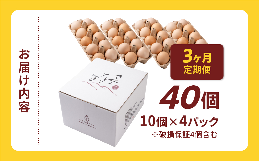 【定期便3ヶ月】40個 新鮮 特選 さくらたまご 3ヶ月 パック数 回数 3回 新鮮な卵 (発送当日・または前日に採れた卵) 安心 安全 対応 破損 割れ保障 保証付 安心対応 サポート 里山 たまご タマゴ 卵 玉子 にわとり ニワトリ 鶏 産直 産地直送 国産 高評価 高レビュー 松島飼料店 岐阜県 大垣市 40個×3回