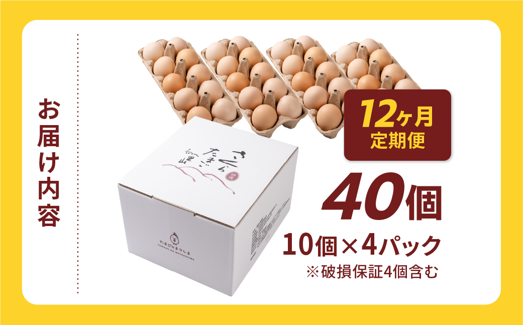 【定期便12ヶ月】40個 新鮮 特選 さくらたまご 定期便 12回 パック数 回数 12ヶ月 1年 新鮮な卵 (発送当日・または前日に採れた卵) 安心 安全 対応 破損 割れ保障 保証付 安心対応 サポート 里山 たまご タマゴ 卵 玉子 にわとり ニワトリ 鶏 産直 産地直送 国産 高評価 高レビュー 松島飼料店 岐阜県 大垣市 40個×12回