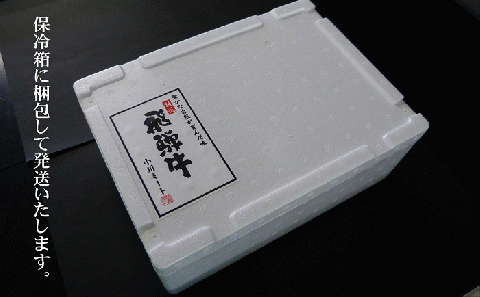 A5等級飛騨牛 サーロインステーキ用 1kg(250g×4枚)
