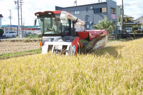 水の都 大垣米 ～わごうめぐみ米～ 10kg【特別栽培米レンゲハツシモ】 10kg