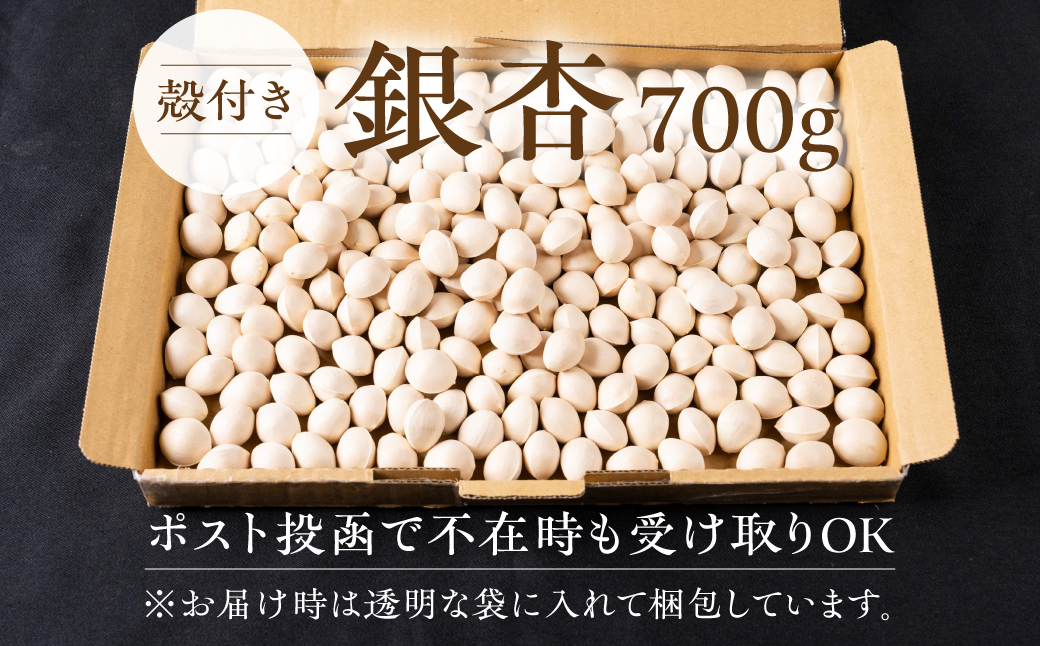 銀杏 700g ぎんなん イチョウ いちょう 殻付き銀杏 殻付き 国産 おつまみ 秋の味覚 栽培期間中農薬不使用 保管 常温 保存 もっちり 電子レンジ レンジ レンチン 簡単調理 茶碗蒸し ポスト投函 ネコポス 季節限定 産地直送 産直 7000円 7千円 岐阜県 大垣市