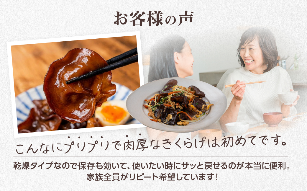 先行予約受付中 ＼ぷりっと、こりっと／超希少 乾燥きくらげ 黒 国産 100g 20g × 5袋 個包装 小分け きくらげ キクラゲ 木耳 乾燥 きのこ キノコ 保存 便利 産地直送 産直 野菜 農薬不使用 7000円 7千円 ベジファームおおがき ゼロックス 岐阜県 大垣市