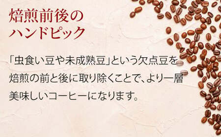 【粉】＼焙煎当日に発送／エチオピア ゲシャビレッジ農園 シェワジバブ ゲイシャ レッドラベル ナチュラル 200g  浅煎り 自家焙煎 コーヒー豆 コーヒー粉 コーヒー 珈琲 コーヒーギフト 挽き立て プレゼント ギフト 贈り物 贈答 焙煎幸房"そら" 岐阜県 大垣市 粉