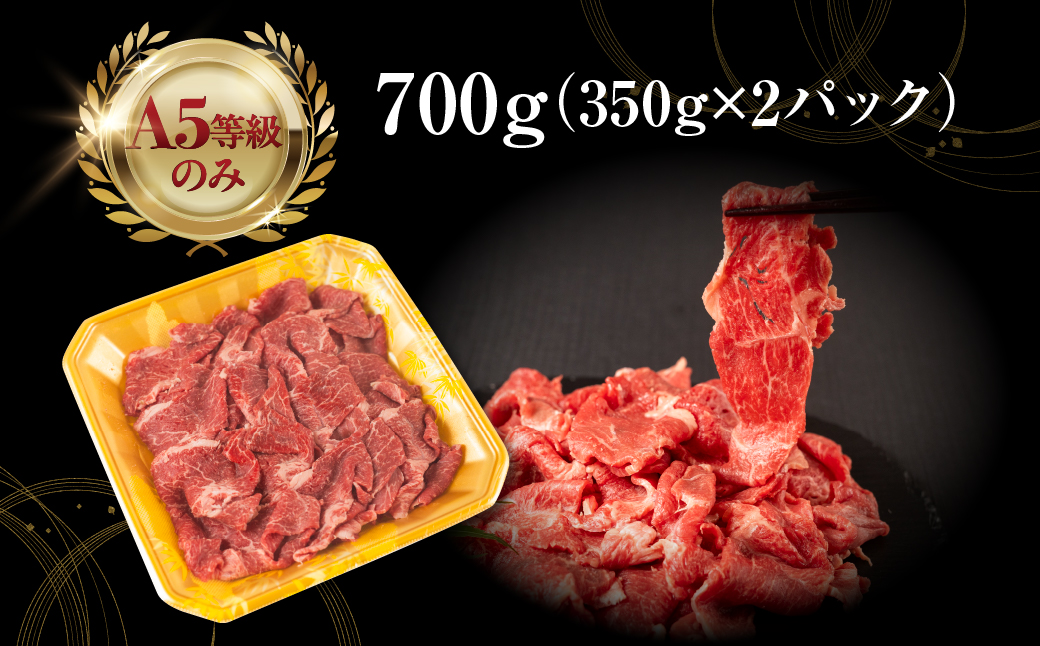 【6回定期便】飛騨牛 A5 700g ちょっと良い 切り落とし 牛肉 和牛 700g × 6回