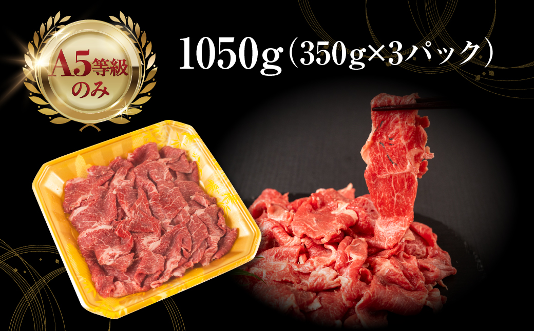 【3回定期便】飛騨牛 A5 1050g ちょっと良い 切り落とし 牛肉 和牛 1050g × 3回