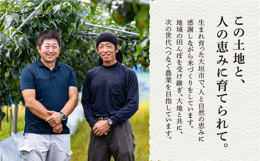 新米 令和7年度産 ハツシモ 10kg 水の都大垣の新米 10キロ×1回