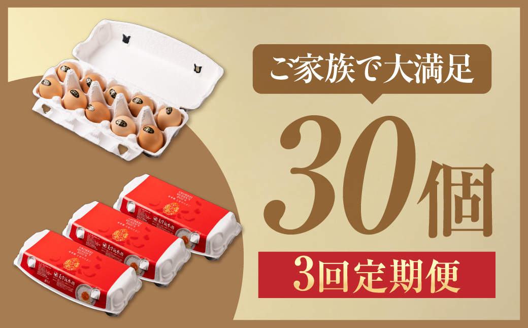 【3ヶ月定期便】＼最高級たまご／烏骨鶏卵 モールド 30個セット 30個×3回