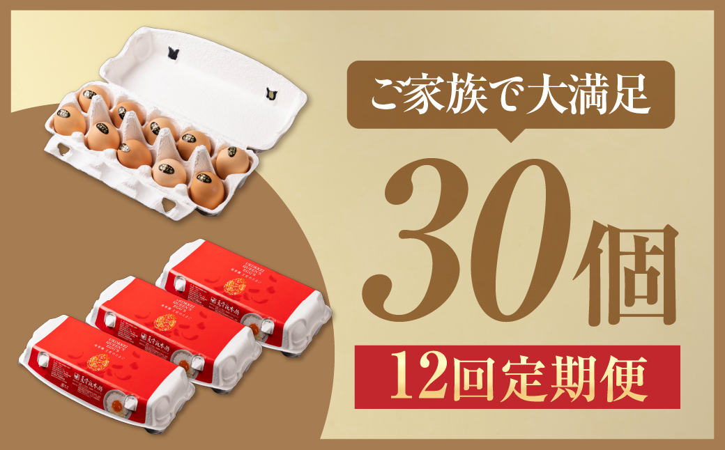 【12ヶ月定期便】＼最高級たまご／烏骨鶏卵 モールド 30個セット 30個×12回