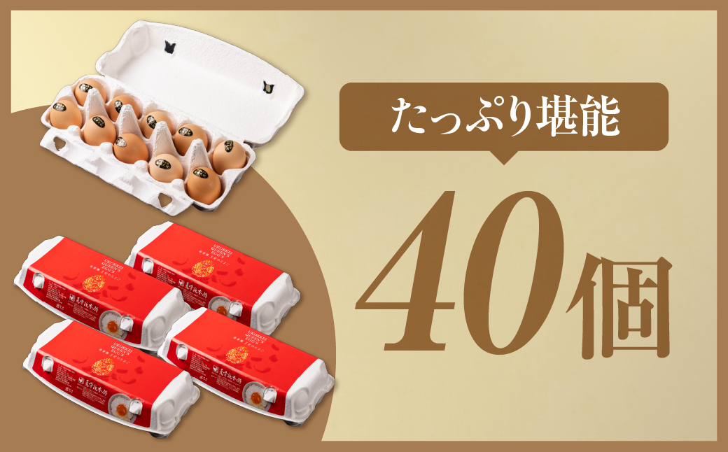＼最高級たまご／烏骨鶏卵 モールド 40個セット 40個
