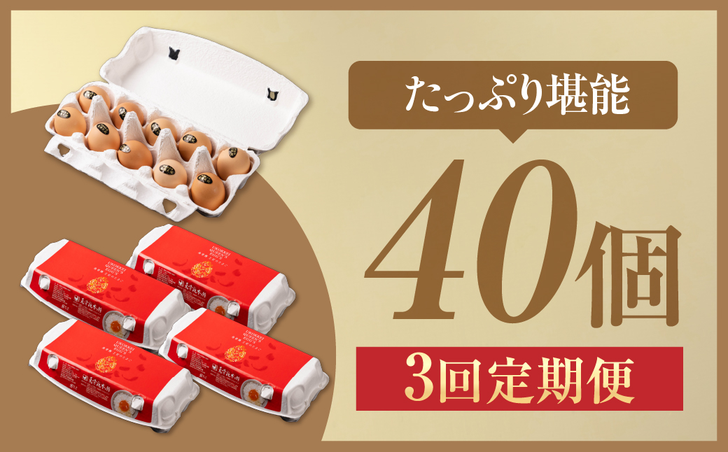 【3ヶ月定期便】＼最高級たまご／烏骨鶏卵 モールド 40個セット 40個×3回