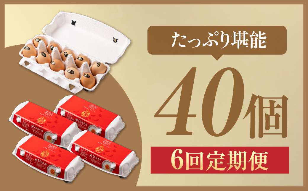 【6ヶ月定期便】＼最高級たまご／烏骨鶏卵 モールド 40個セット 40個×6回