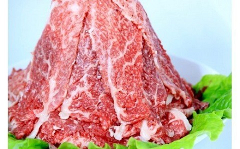 A5飛騨牛　便利な切り落とし　500g