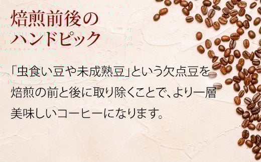 【粉】＼焙煎当日に発送／エチオピアゲイシャ200g ＆ ブルーマウンテン 200g ＆ コピ・ルアック100g 計500g 浅煎り ウォッシュド 自家焙煎 コーヒー豆 コーヒー粉 コーヒー 珈琲 コーヒーギフト 挽き立て プレゼント ギフト 贈り物 焙煎幸房”そら” 岐阜県 大垣市 粉