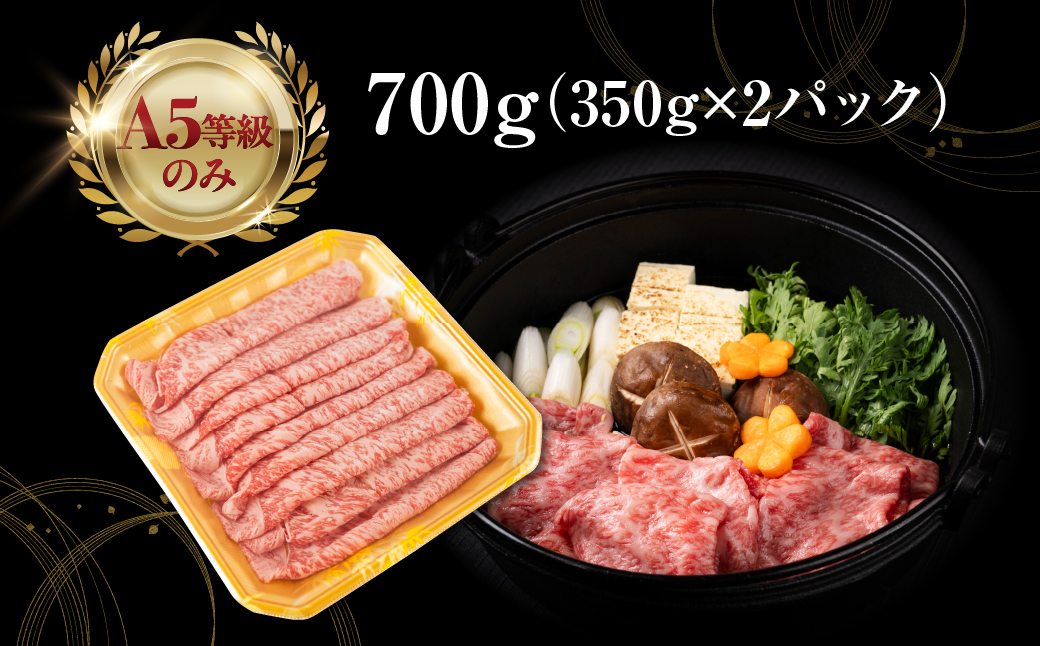 【6回定期便】飛騨牛 A5 700g すき焼き用 ロース肉 牛肉 和牛 700g × 6回