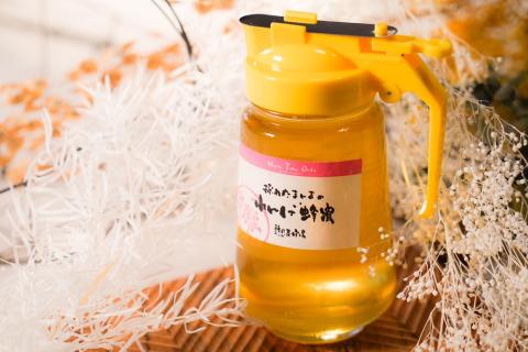 【大垣産】希少な『れんげ蜂蜜』（パッカー容器入：450ｇ）農林水産大臣賞2回受賞